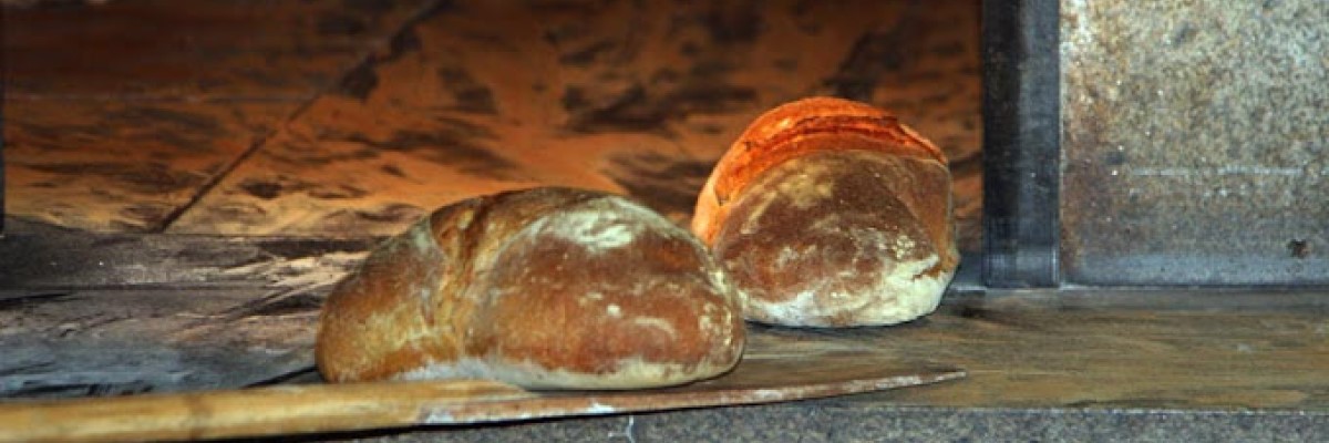 pan de cea tradicional, masa madre